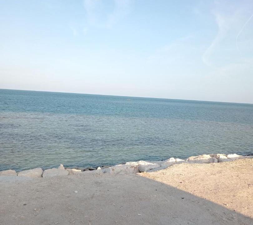 Photo of Others in Dammam