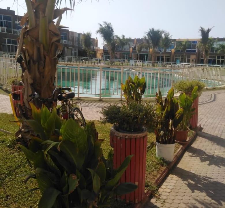 Photo of Others in Al Kura