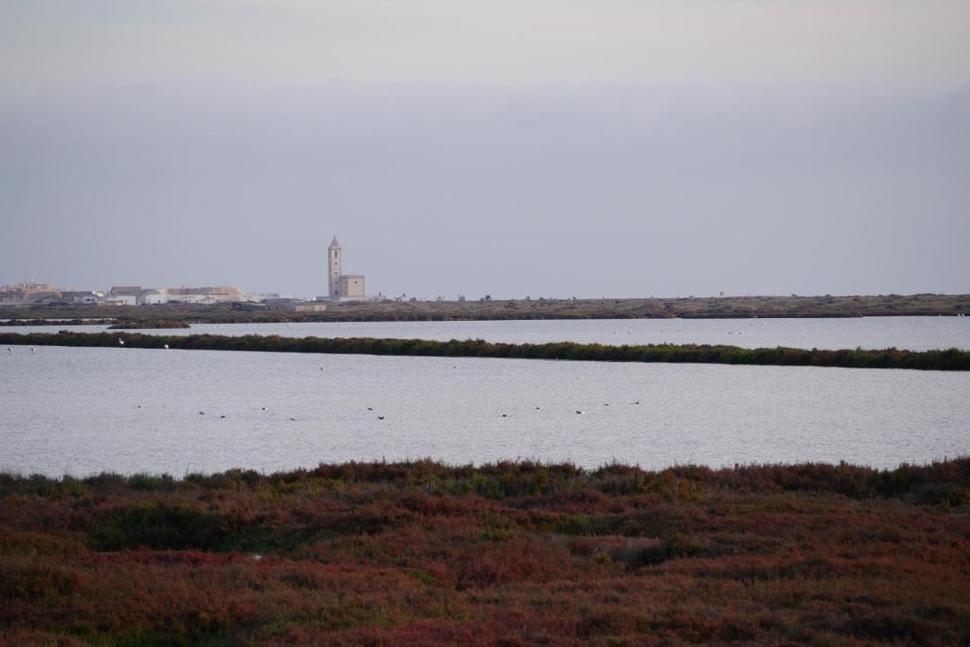 Photo of Others in Cabo de Gata