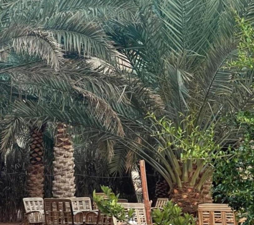 Photo of Others in AlUla