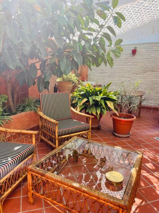 Photo of Patio Balcony in La Malva-rosa