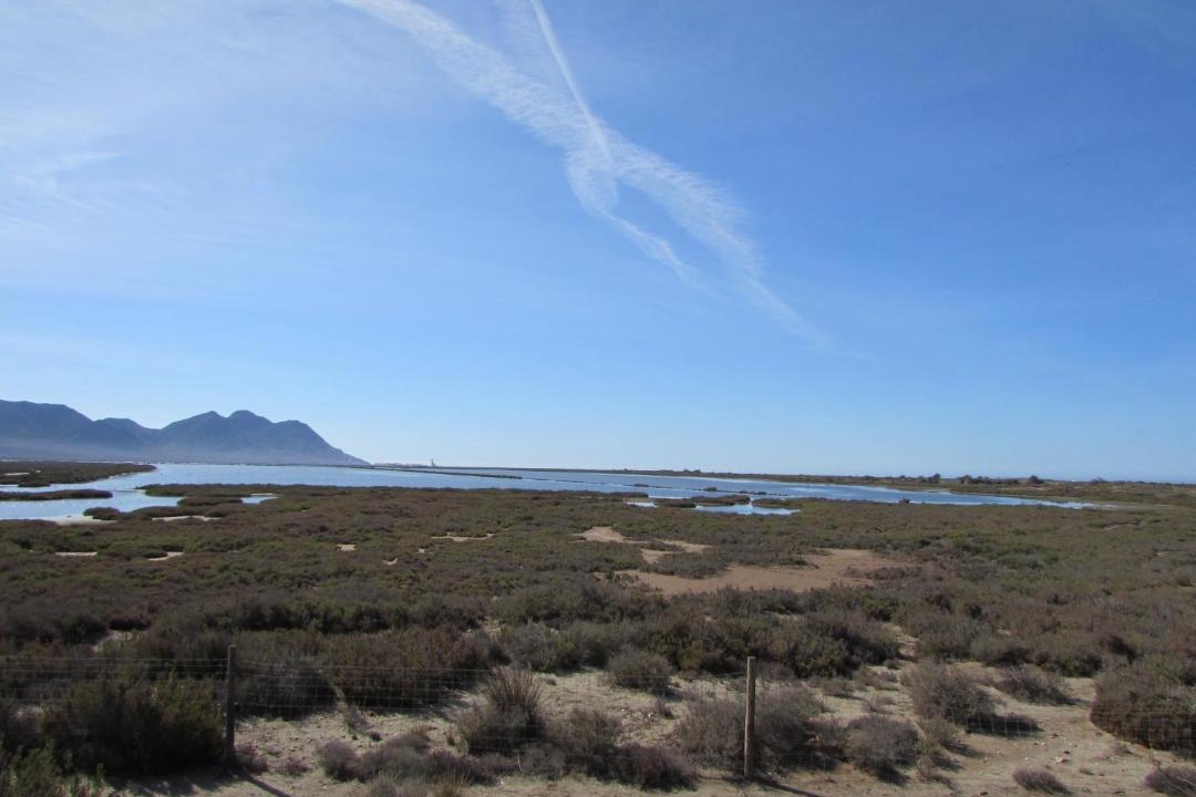 Photo of Others in Cabo de Gata