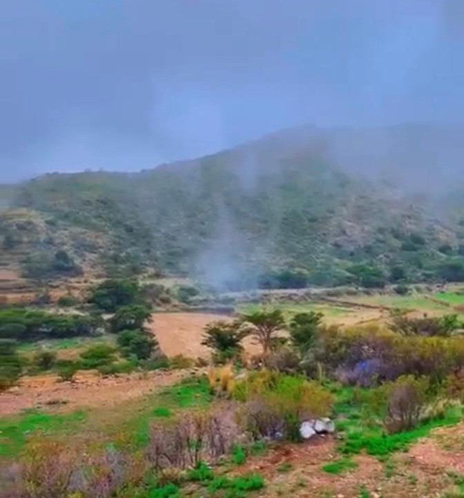 Photo of Others in 'Asir