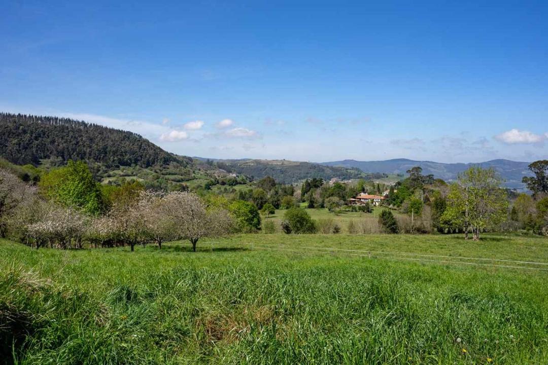 Photo of Outdoor in Cabranes Municipality