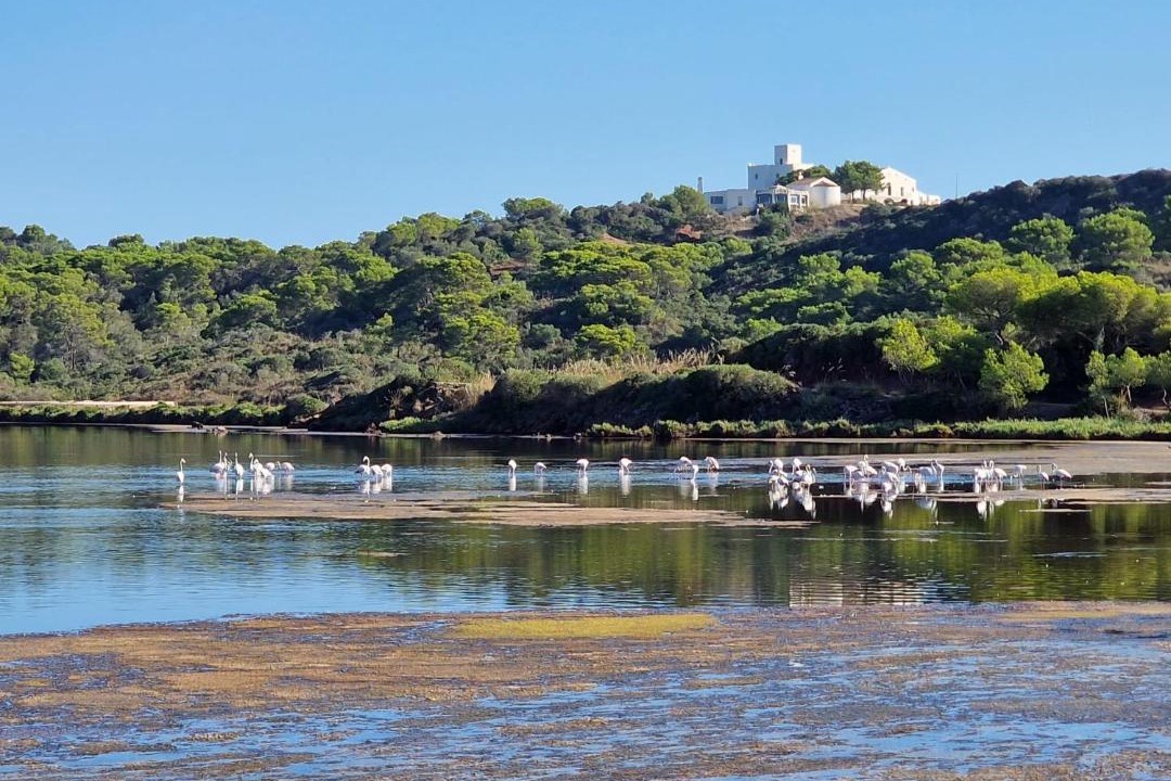 Photo of Others in Minorca