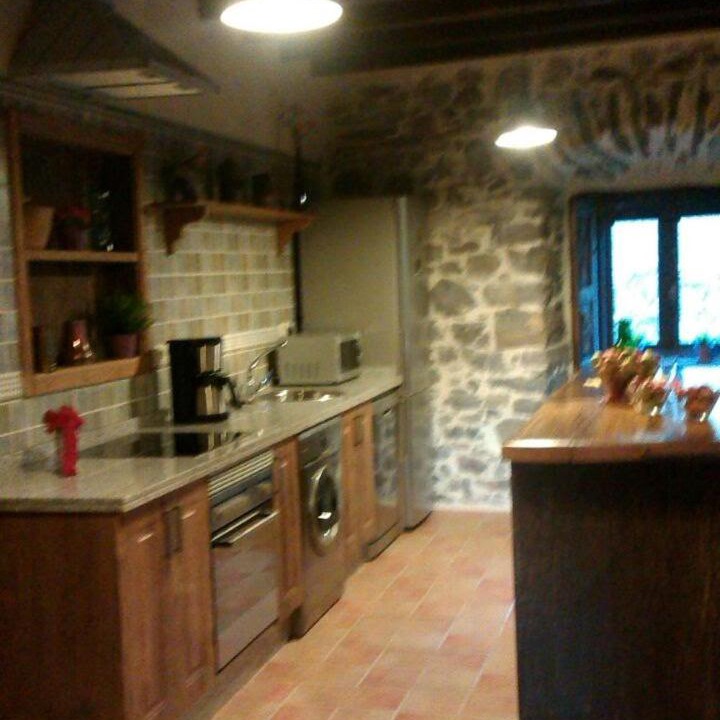 Photo of Kitchen in Candamo Municipality