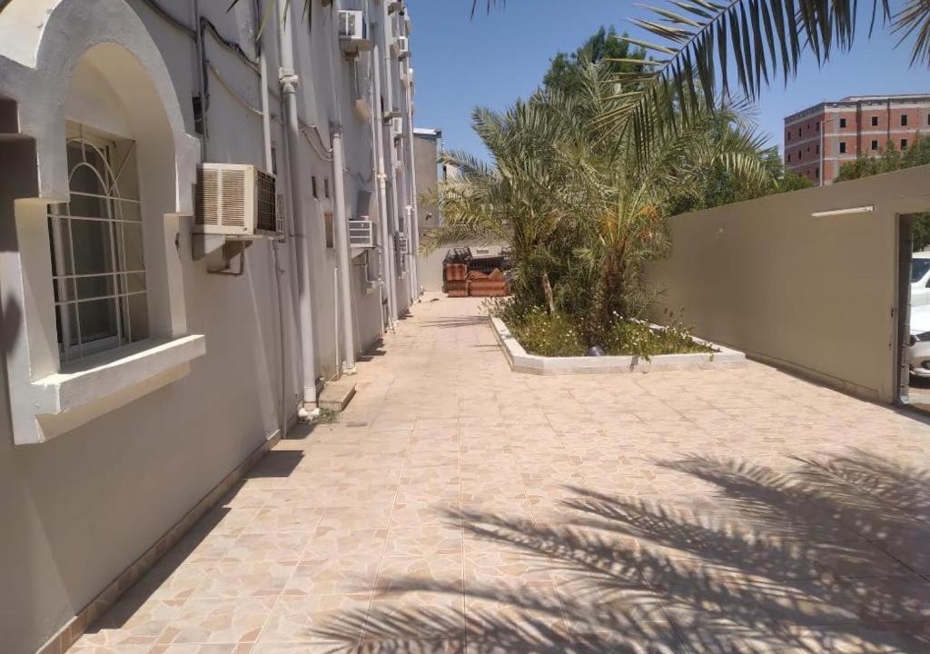 Photo of Others in Yanbu