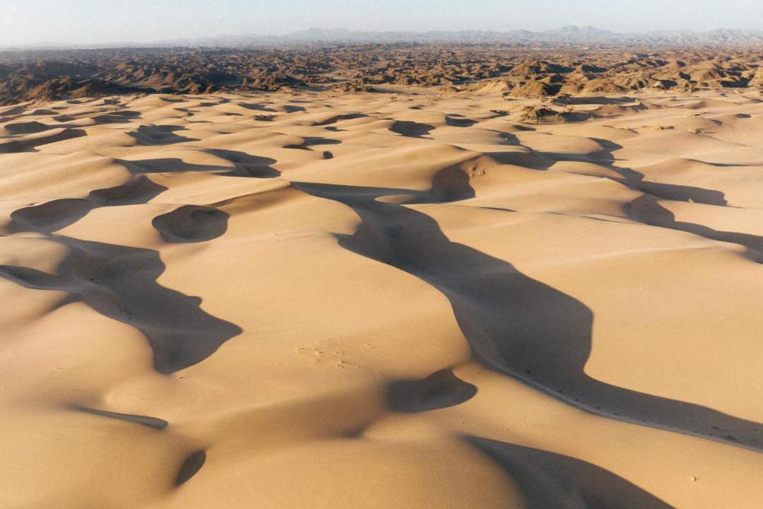Photo of Human In Picture in Tabuk