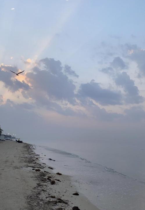 Photo of Others in Yanbu