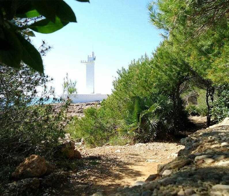 Photo of Others in Alcossebre