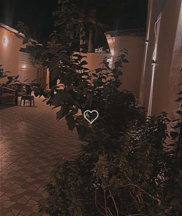 Photo of Others in Al-Hofuf