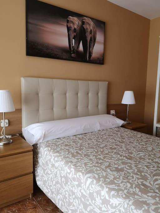Photo of Bedroom in Gijon
