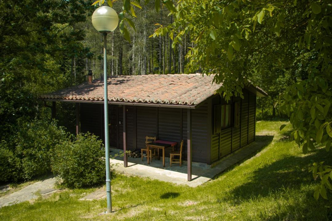Photo of Others in Leintz-Gatzaga
