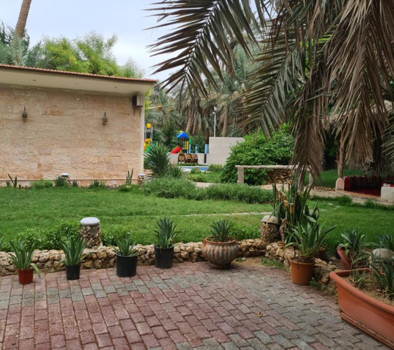 Photo of Buildings in Al-Hofuf