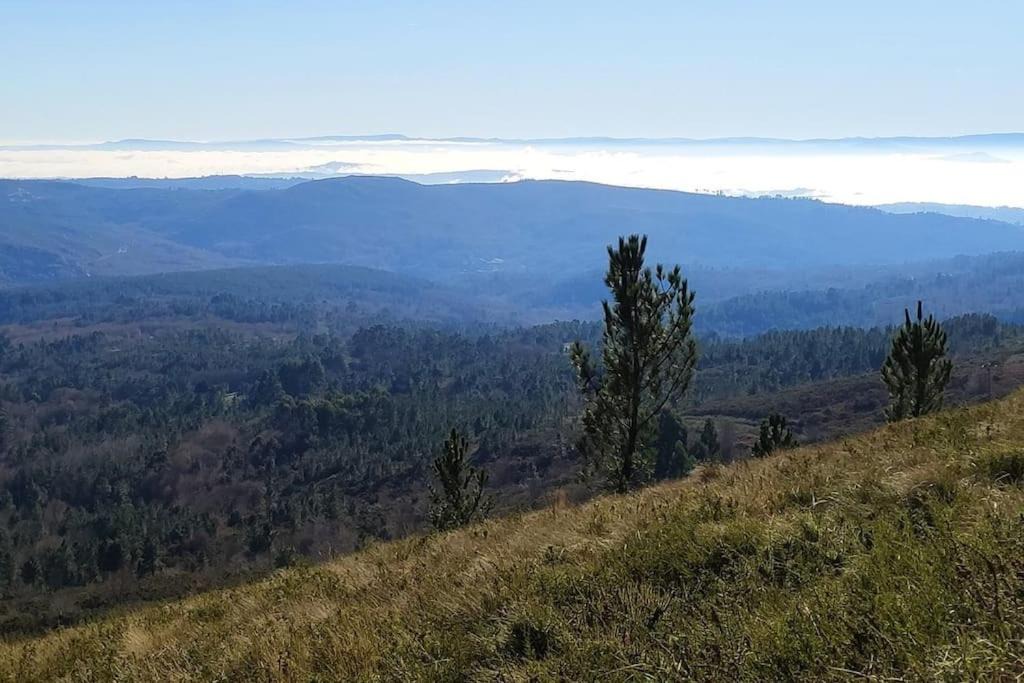 Photo of Outdoor in O Irixo