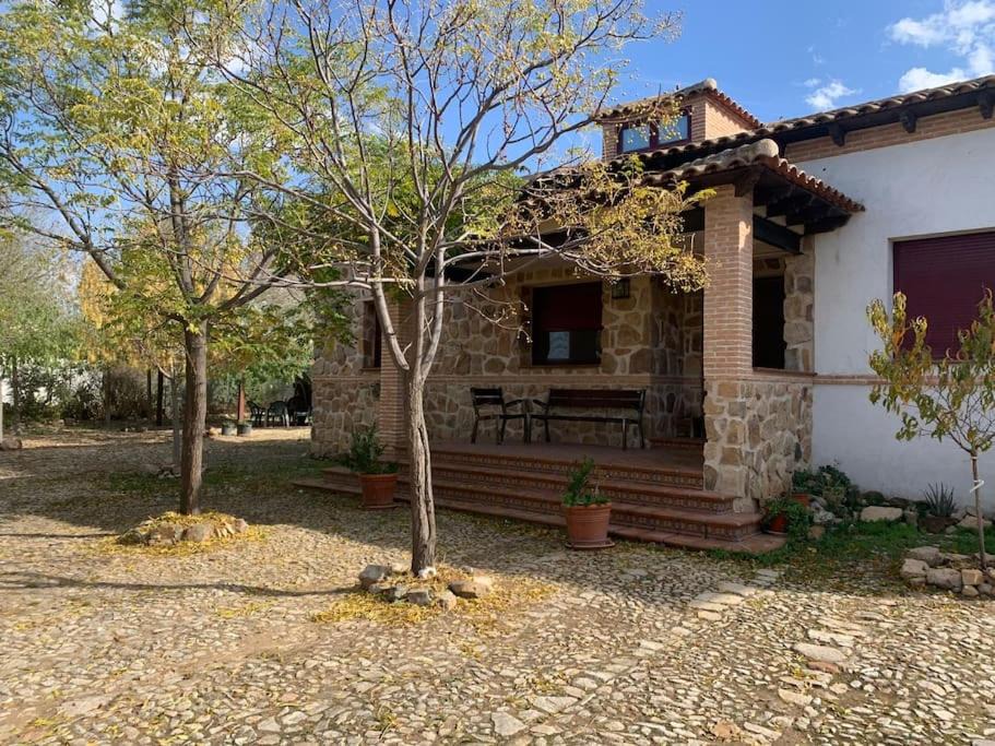 Photo of Buildings in Totanes