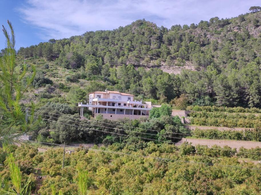 Photo of Outdoor in Adsubia