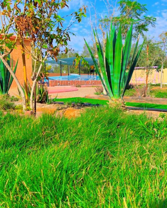 Photo of Outdoor in Ha'il