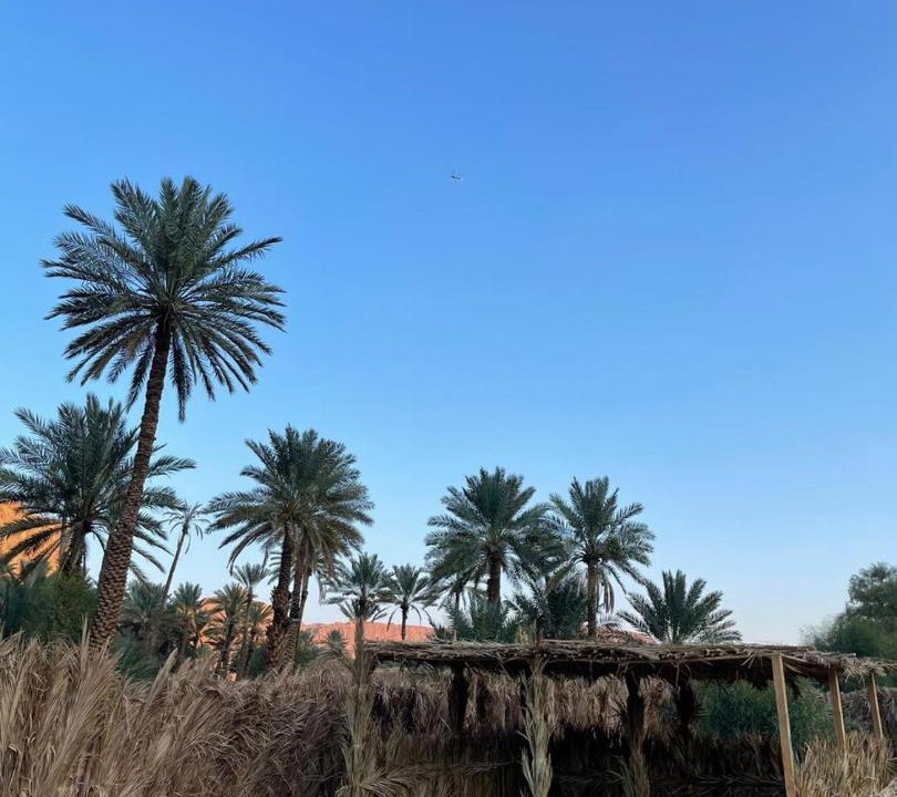 Photo of Buildings in AlUla