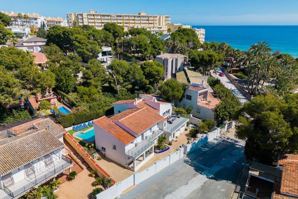 Photo of Others in Orihuela Costa