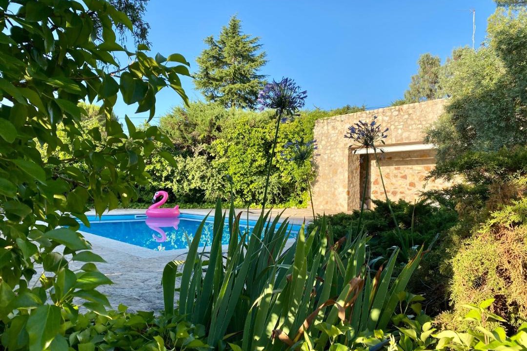 Photo of Outdoor in Valdemorillo