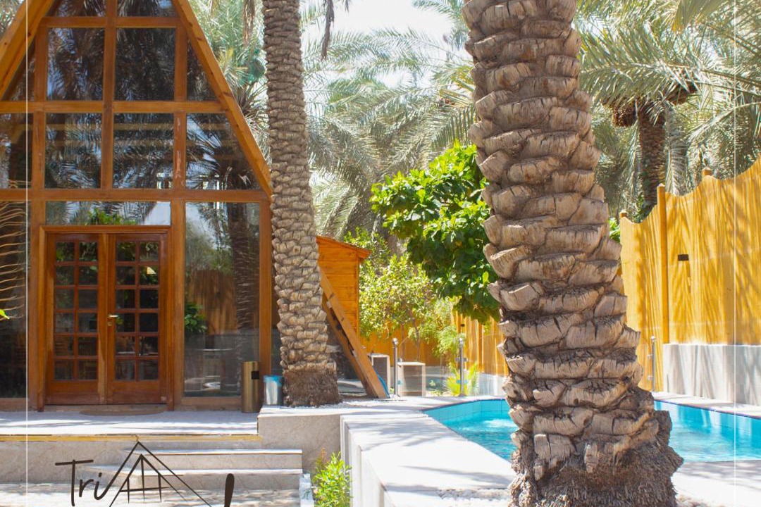 Photo of Others in Al-Hofuf