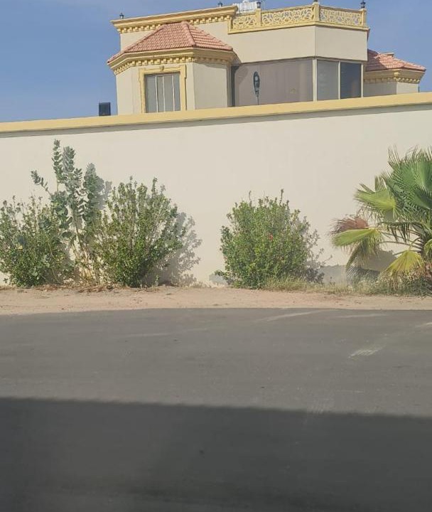 Photo of Buildings in Taif