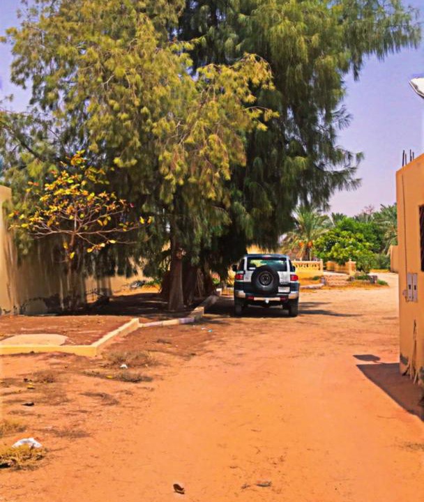Photo of Outdoor in Bukayriah
