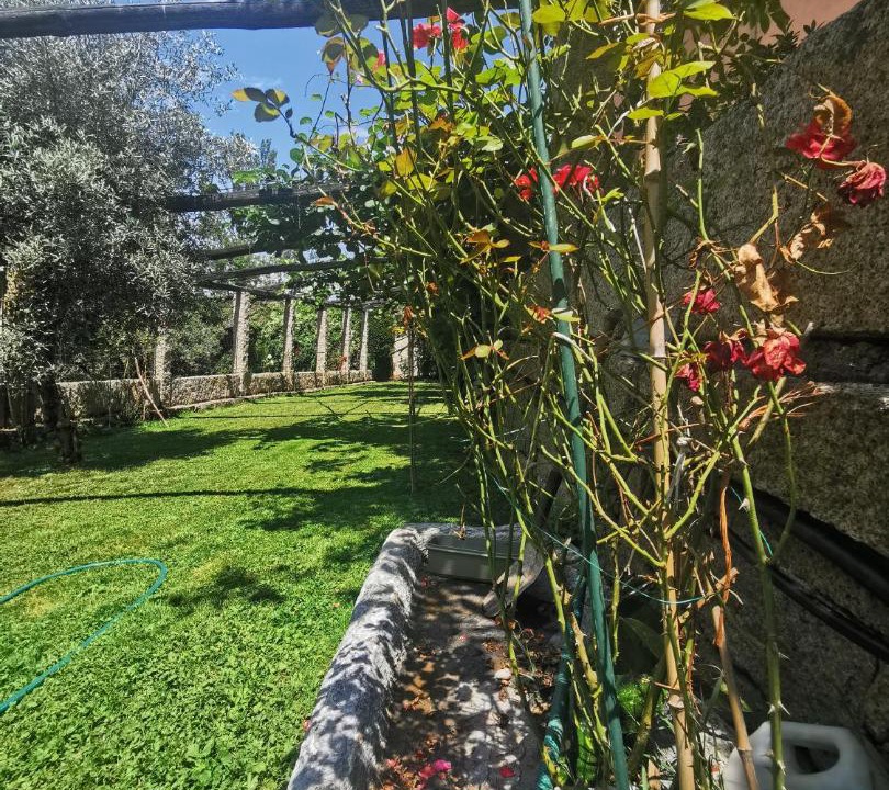 Photo of Outdoor in Baralla