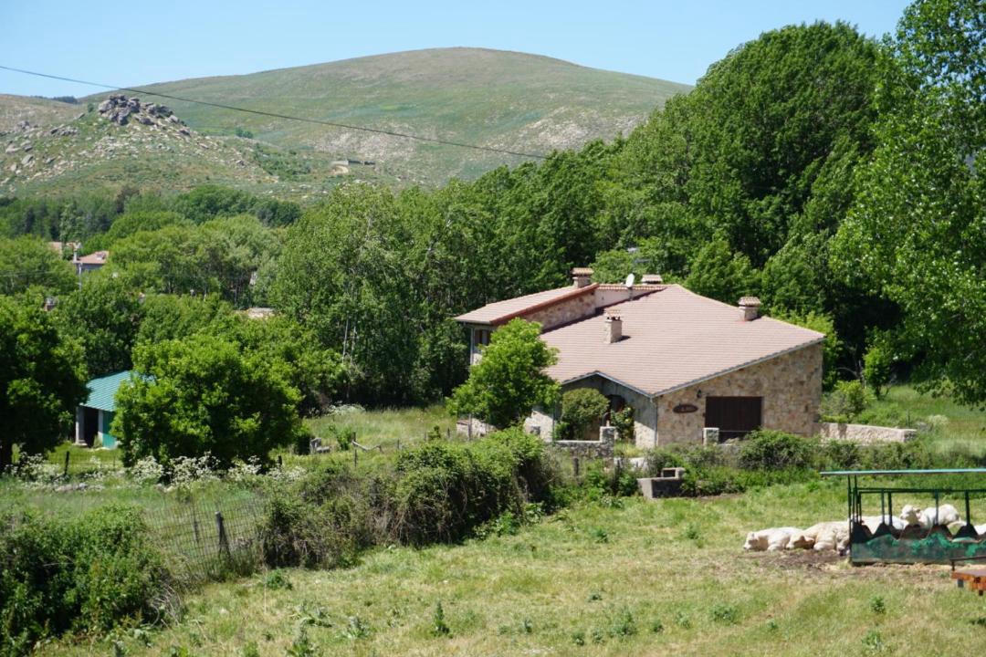 Photo of Others in San Martin del Pimpollar