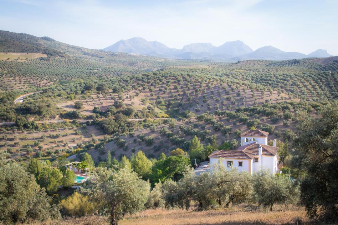 Photo of Others in El Tarajal