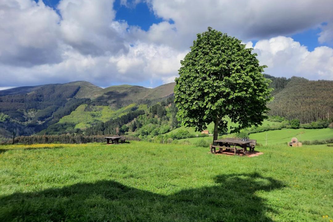 Photo of Others in Valle de Carranza