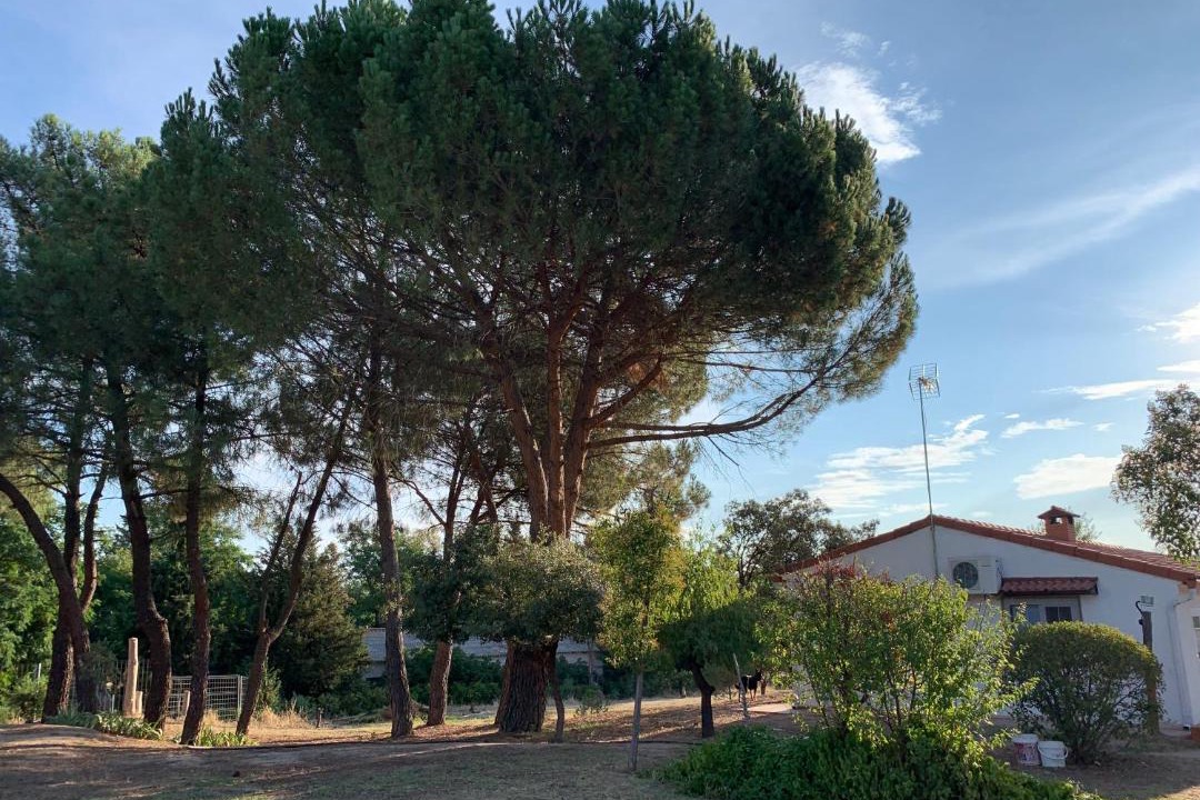 Photo of Others in Villaviciosa de Odon