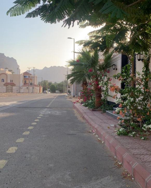 Photo of Others in AlUla
