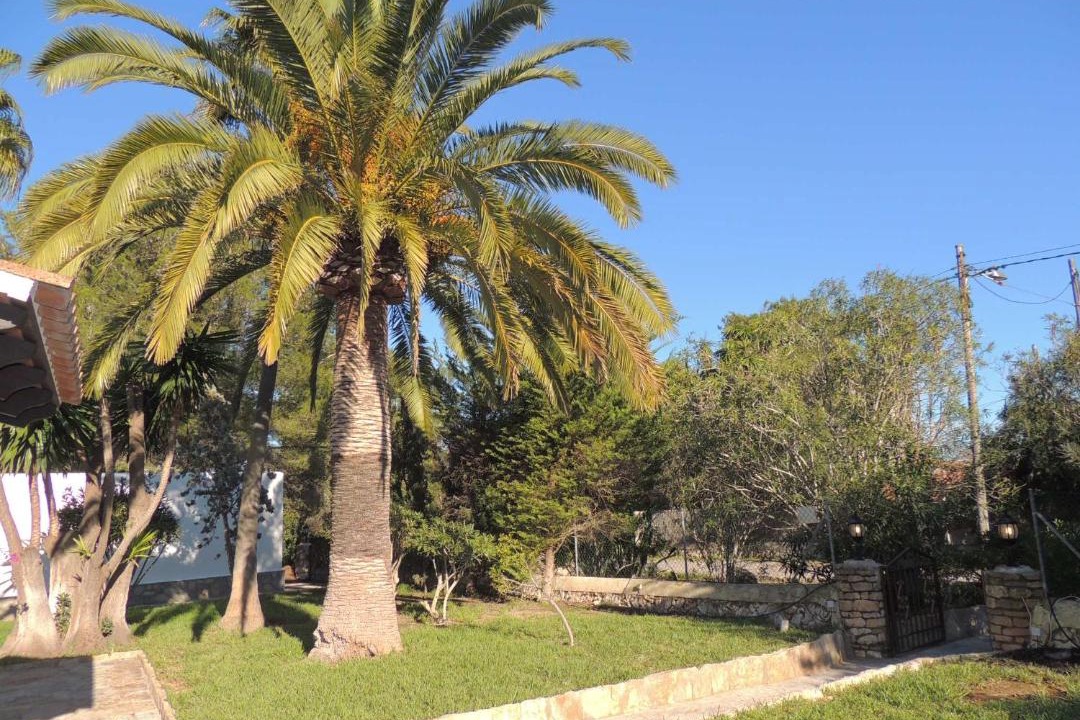 Photo of Others in Cala Murada