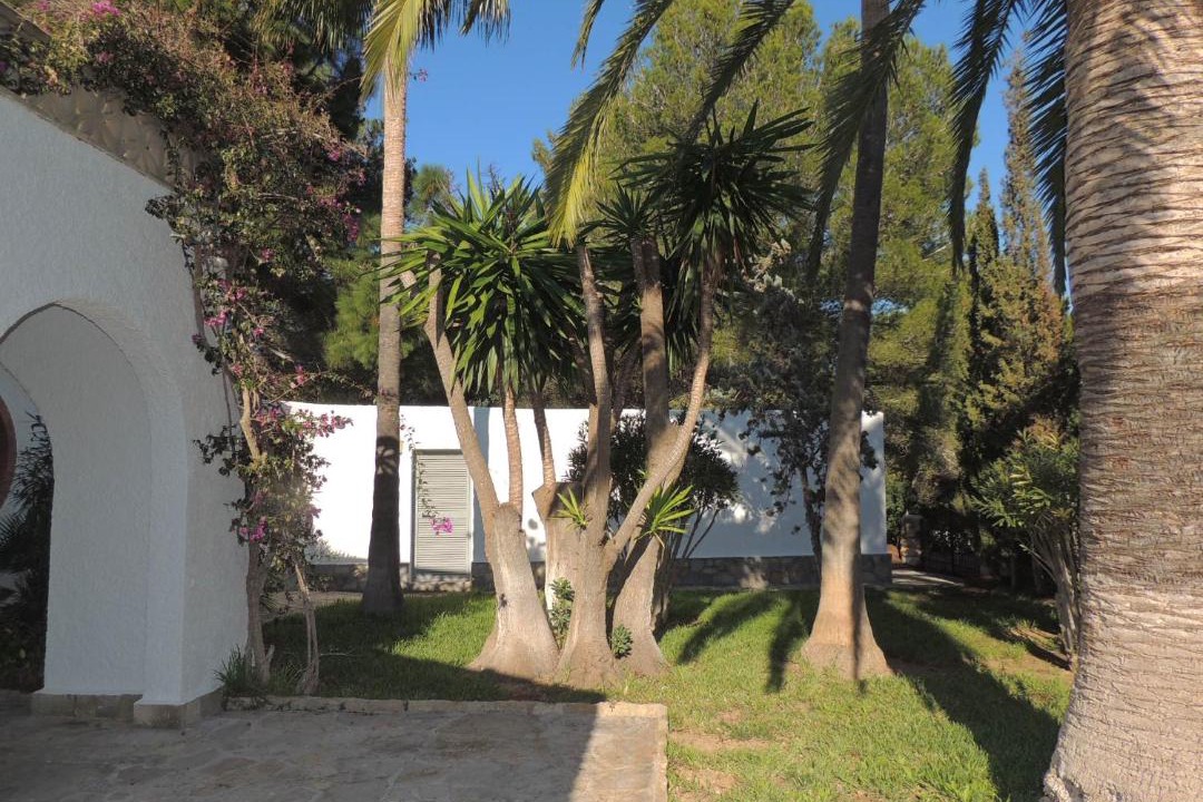 Photo of Buildings in Cala Murada