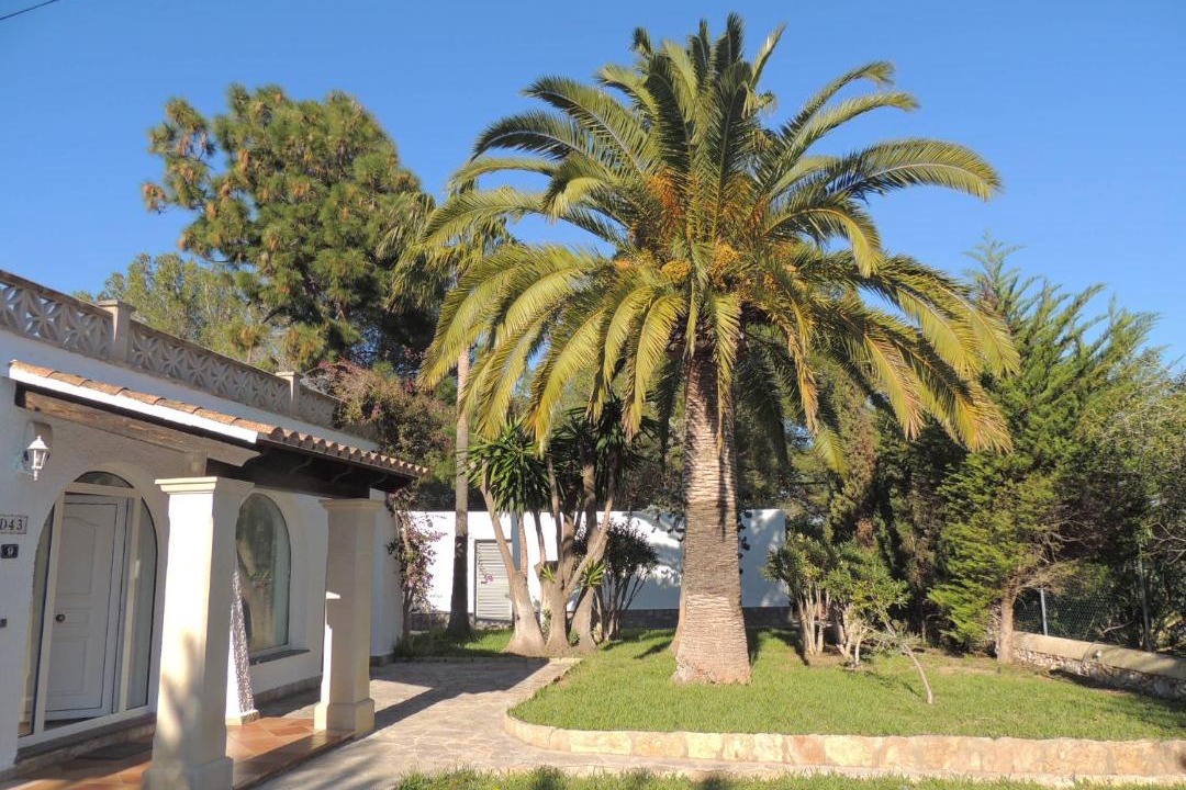 Photo of Buildings in Cala Murada