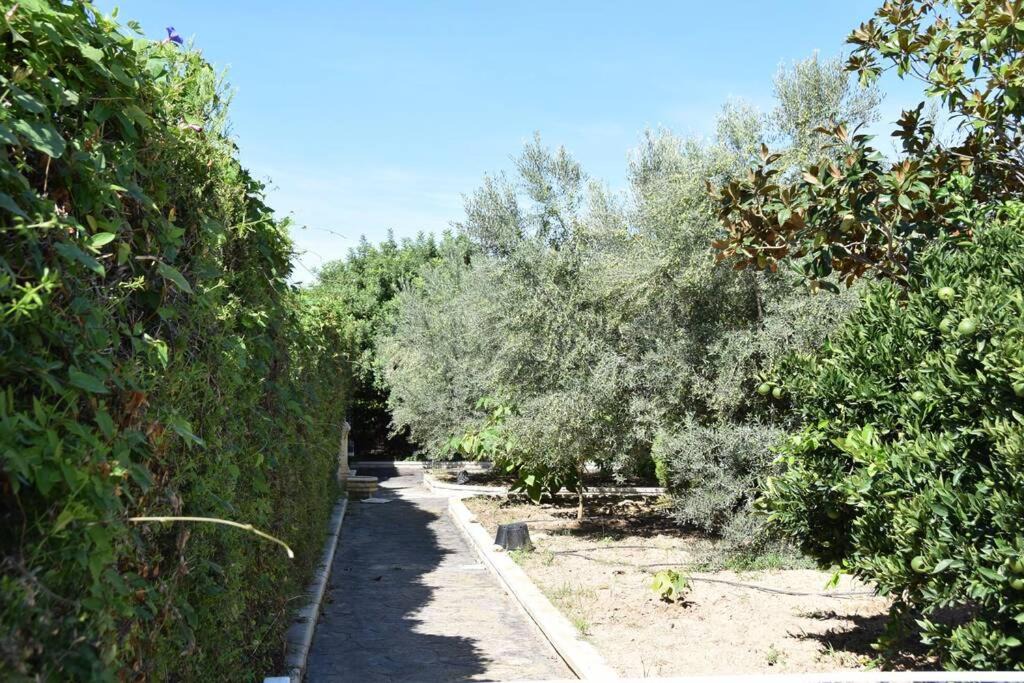 Photo of Outdoor in Castellnovo