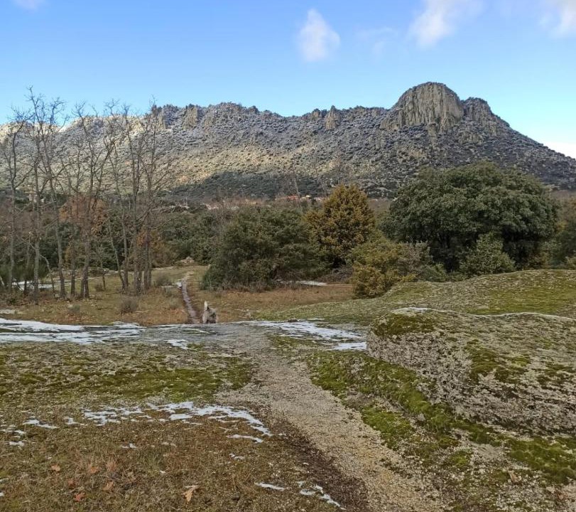 Photo of Others in La Cabrera