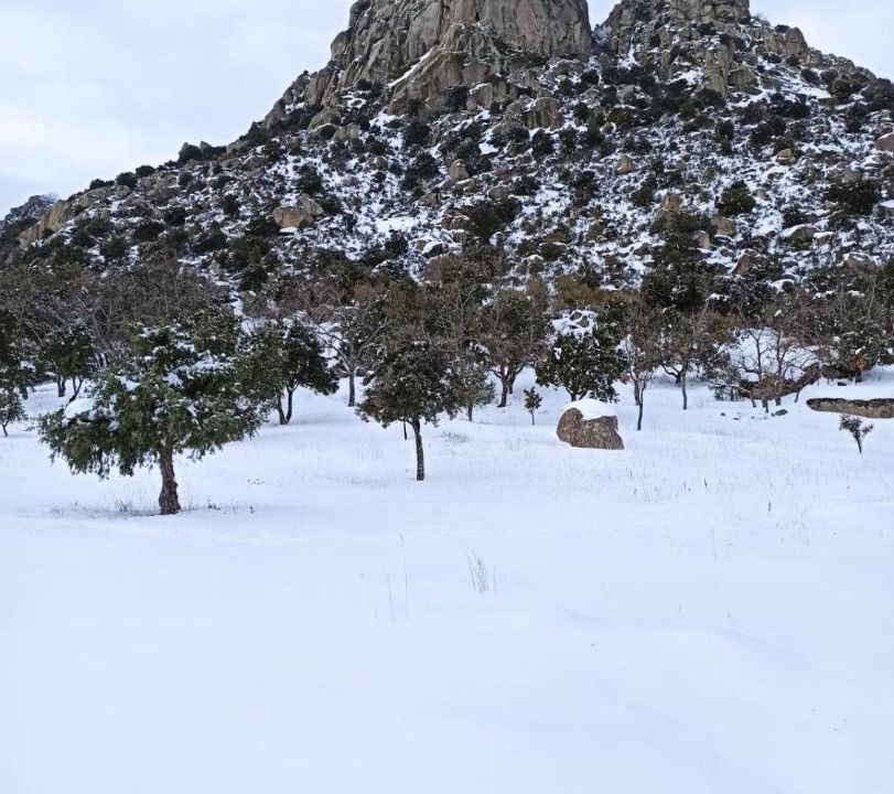 Photo of Others in La Cabrera