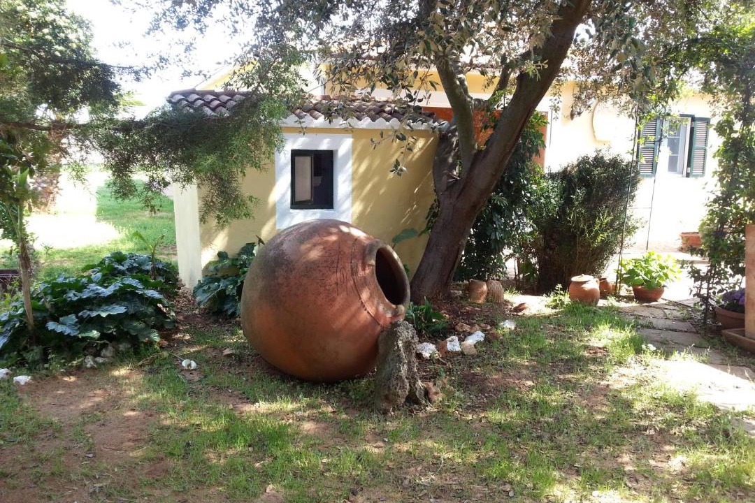 Photo of Others in Ciudadela