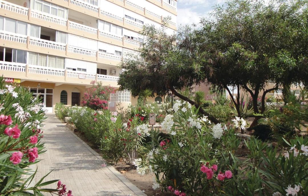 Photo of Others in La Mata