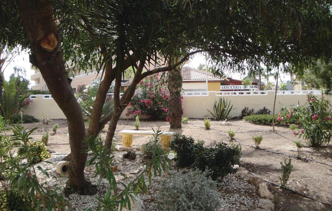 Photo of Others in La Mata