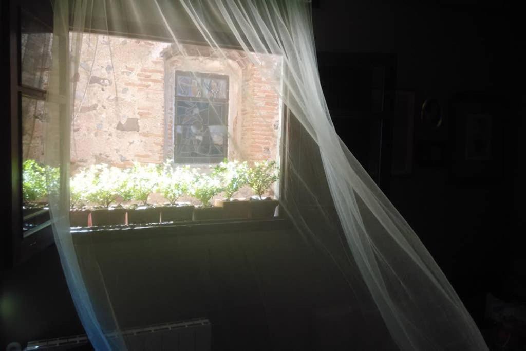 Photo of Others in L'Argentera