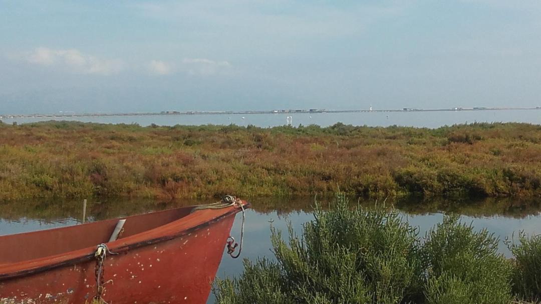 Photo of Outdoor in Deltebre