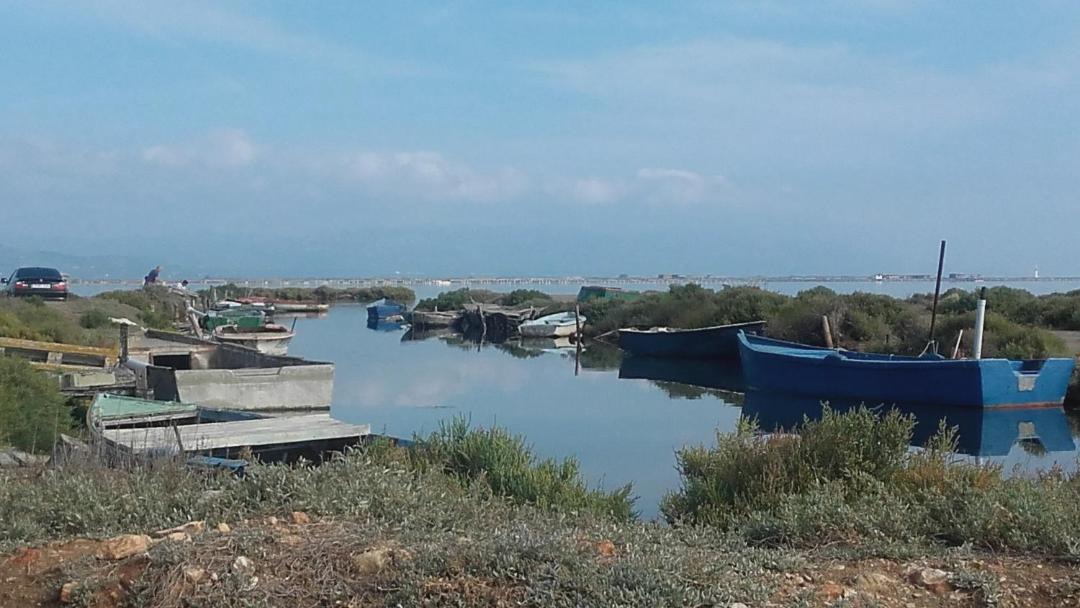 Photo of Outdoor in Deltebre
