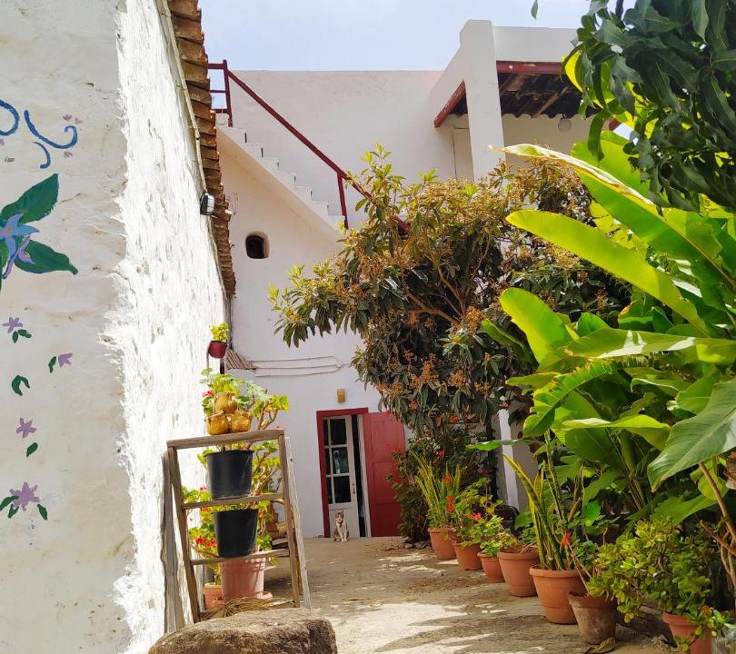 Photo of Buildings in Telde