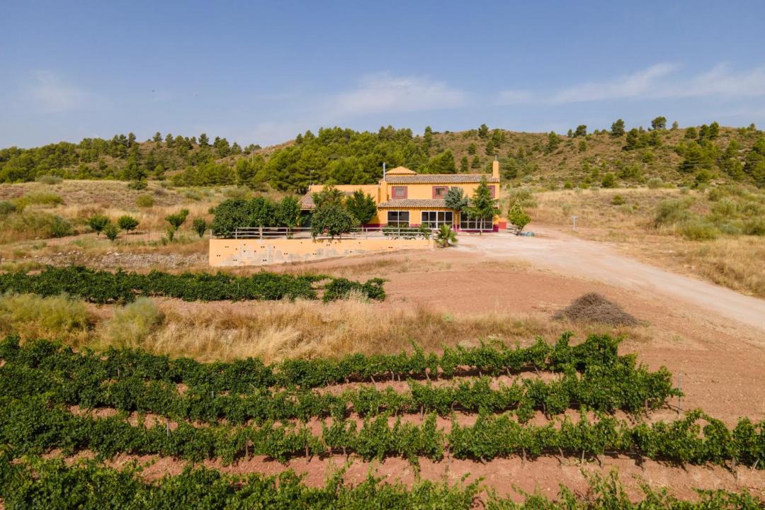 Photo of Outdoor in Ayora