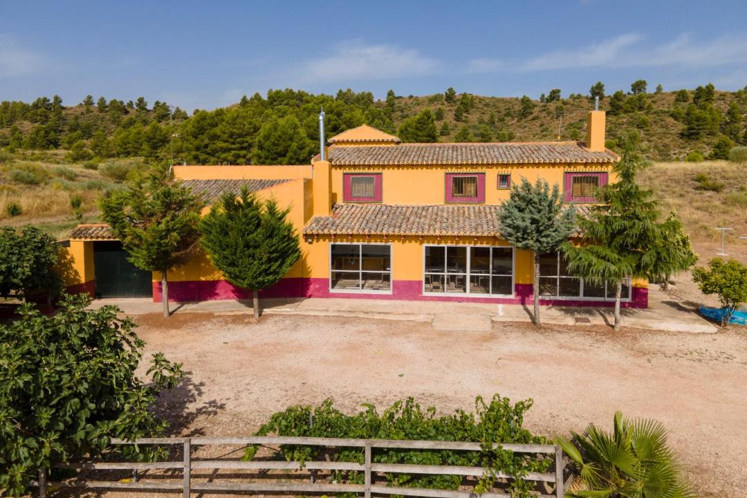 Photo of Buildings in Ayora