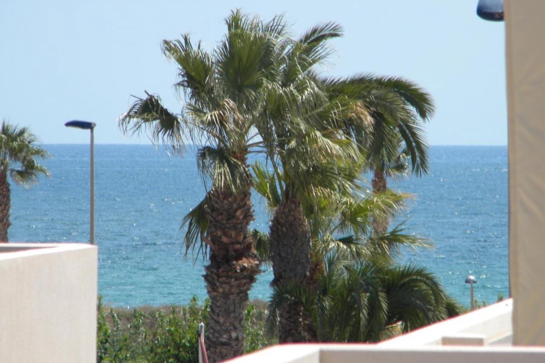 Photo of Others in Pilar de la Horadada